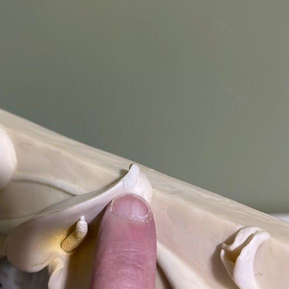 Vintage frame-ology picture frame. Lillies & Ivy 1998 Terri Russell.  Heavy - Picture 7 of 9